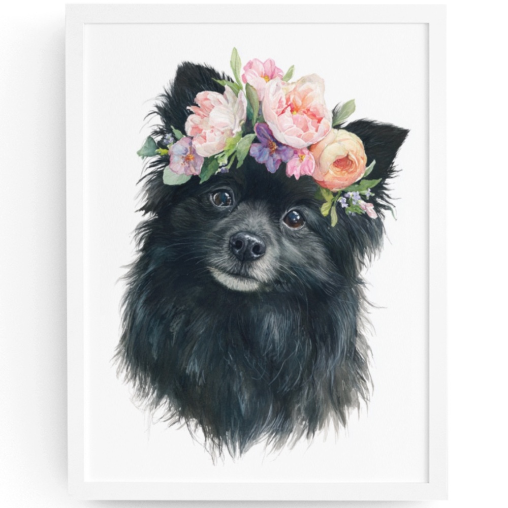 Watercolor Black Pomeranian Dog Portrait Art Print – Unframed Fine Art Poster